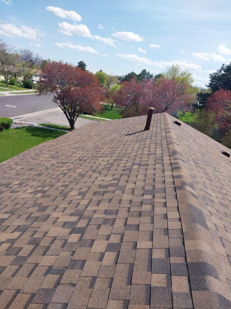 Finished architectural shingle roof with a roof vent and spring trees around the house.